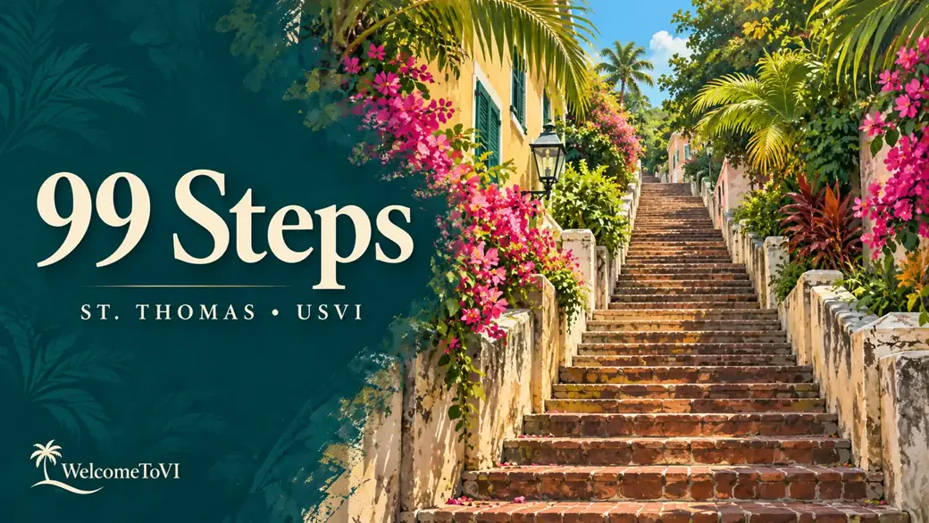 Illustrated WelcomeToVI cover for 99 Steps