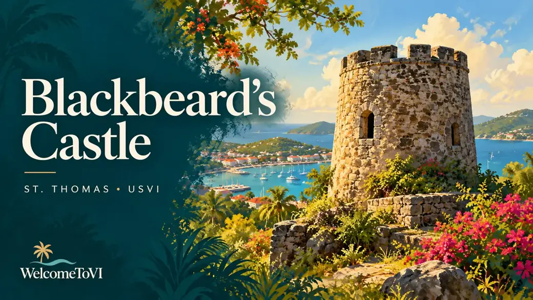 Illustrated WelcomeToVI cover for Blackbeard's Castle