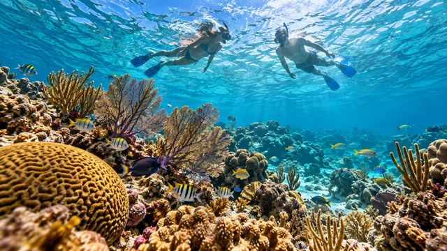 Sail Caribbean Divers cover