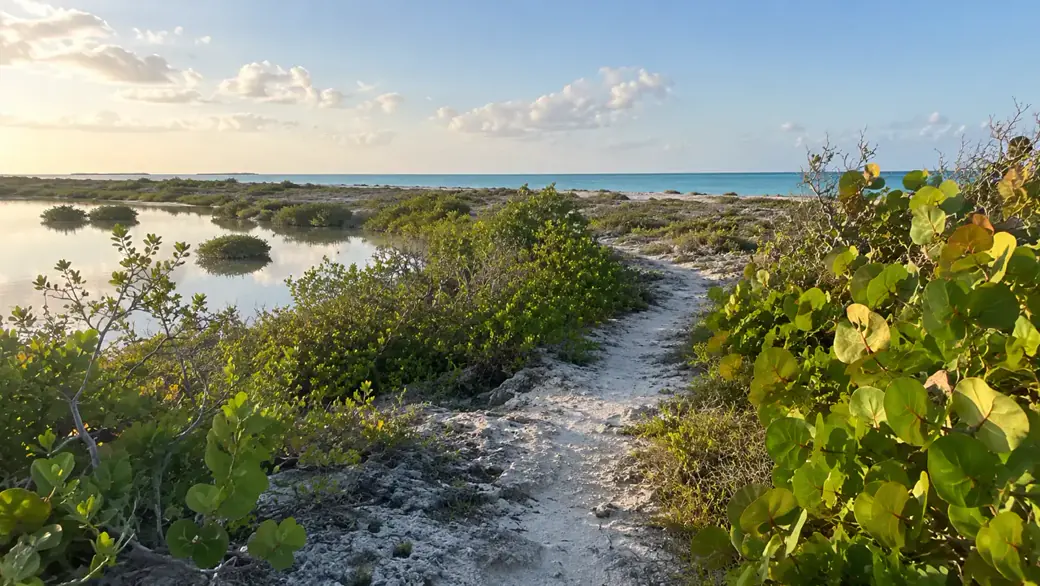 Bones Bight Nature Trail cover