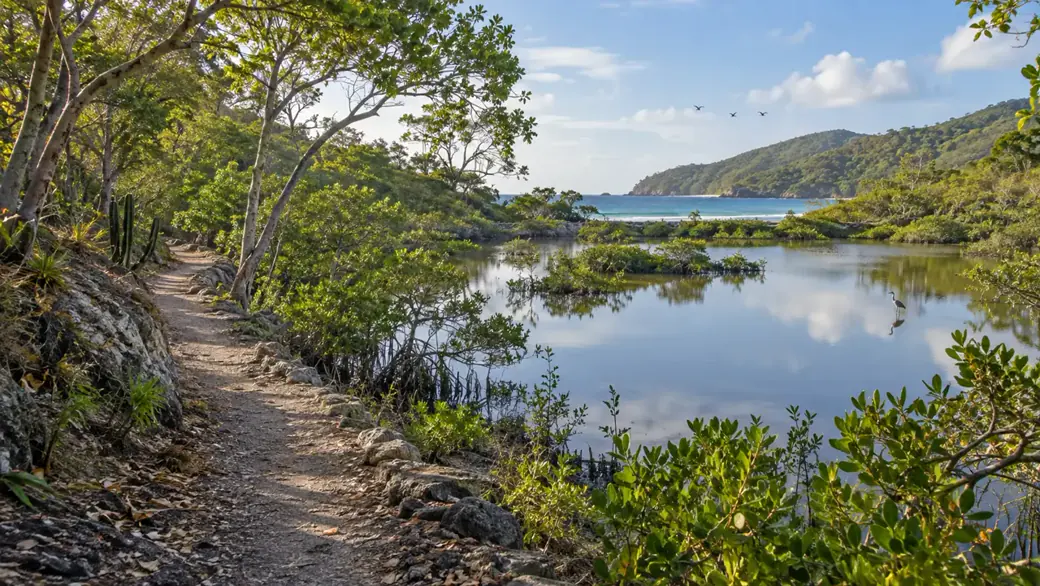 Francis Bay Trail attraction cover