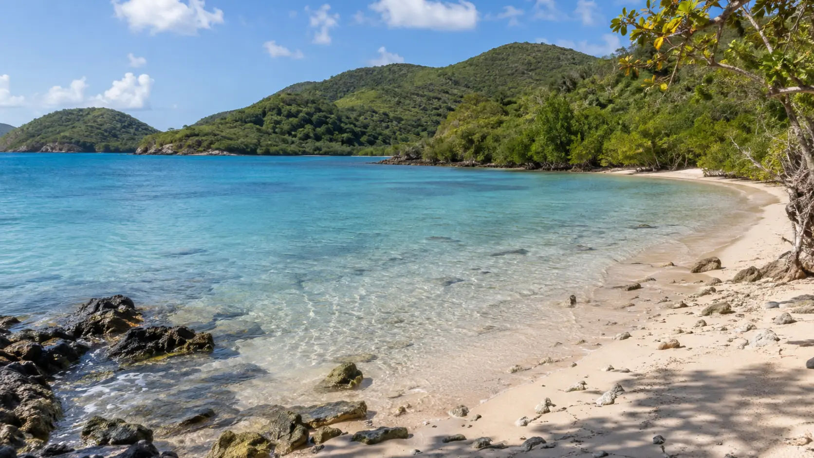 Brown Bay Beach beach cover