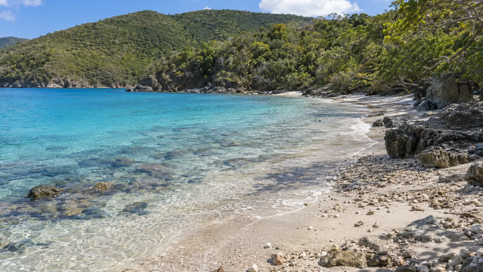 Europa Bay Beach shoreline