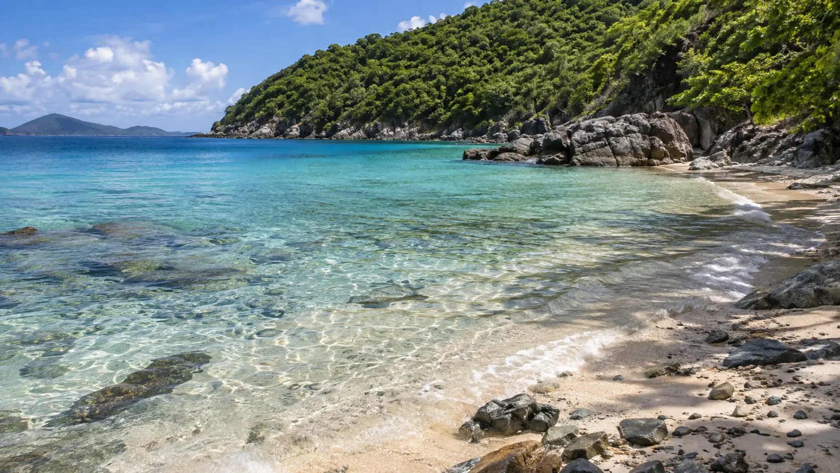 Little Lameshur Bay shoreline
