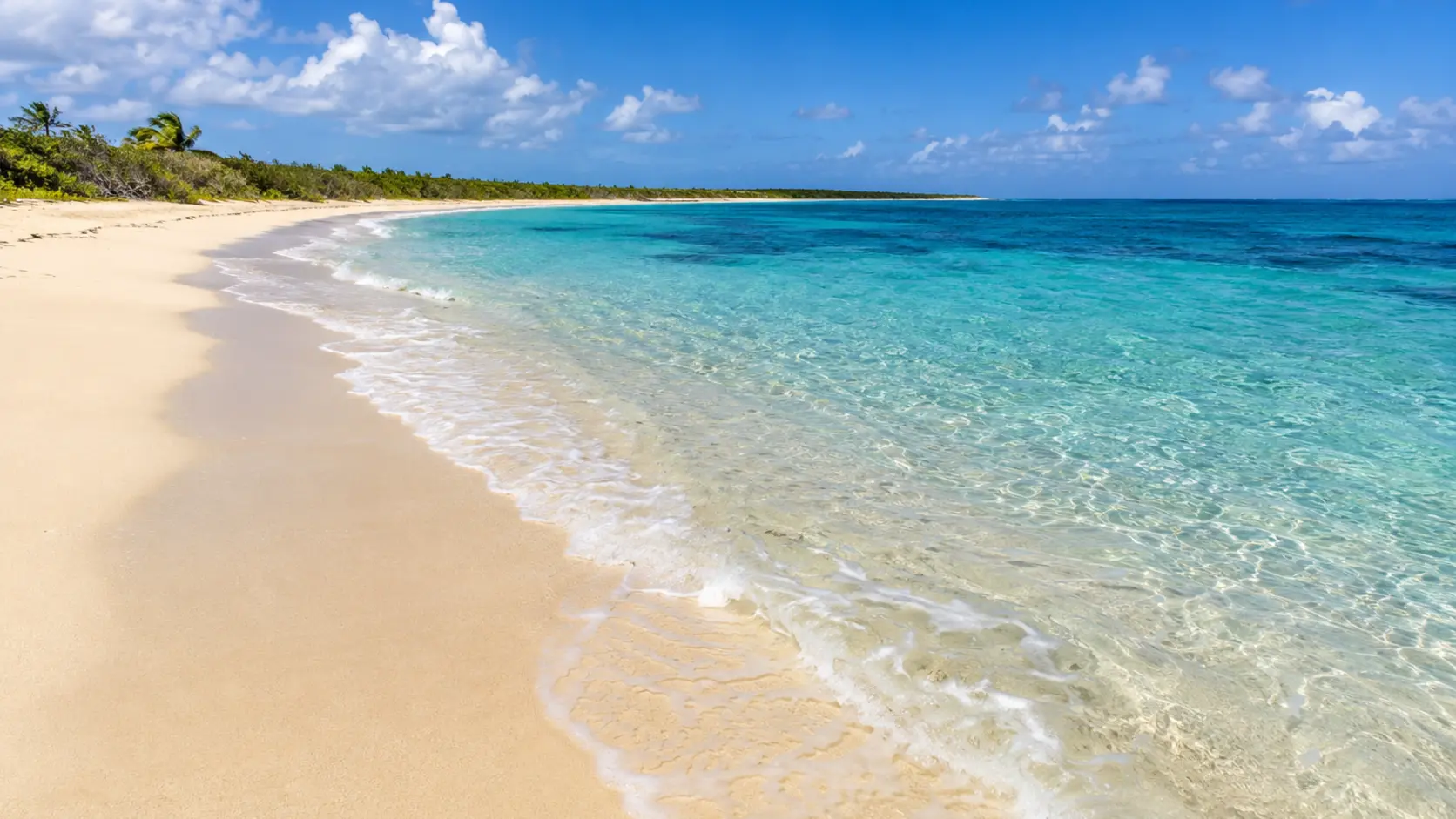 Sandy Point Beach beach cover