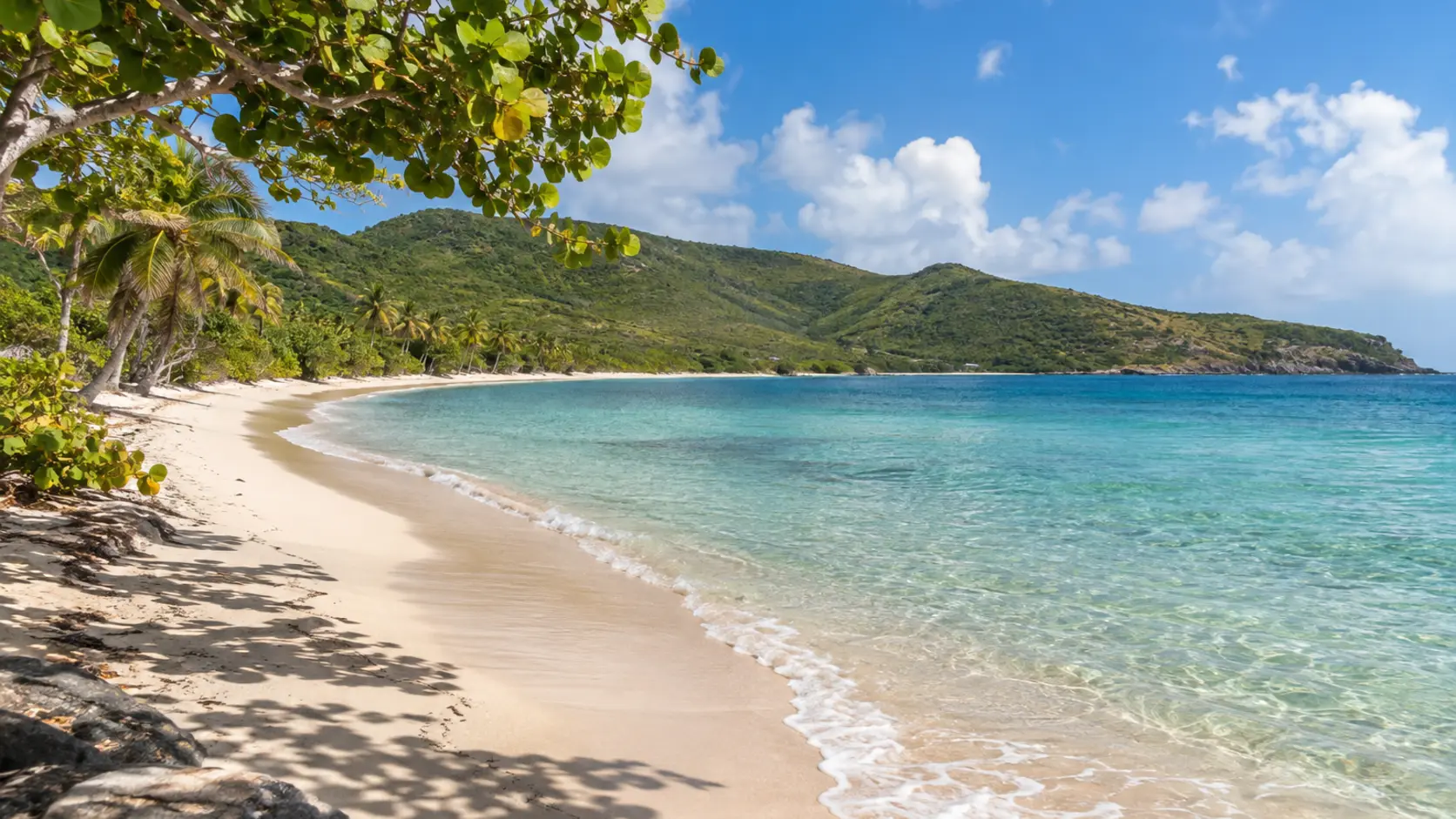 Shoys Beach beach cover