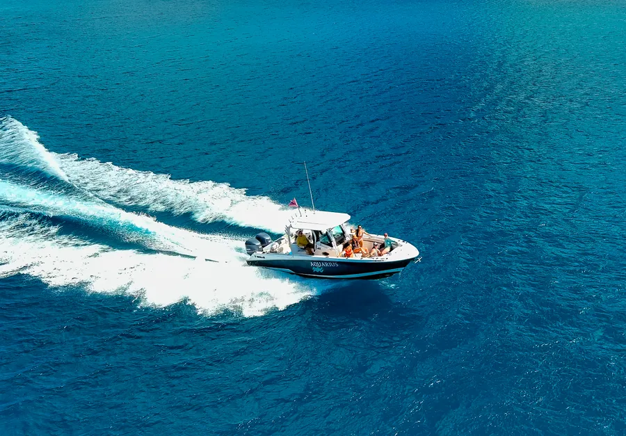 Half Day Private Charter Aboard M/V Aquarius — photo supplied by Seas the Day Charters