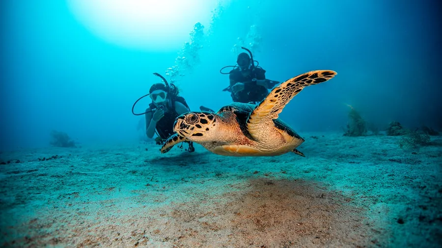 Full Day Private Charter — photo supplied by Aqua Marine Dive Center