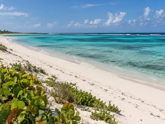 Anegada coastline
